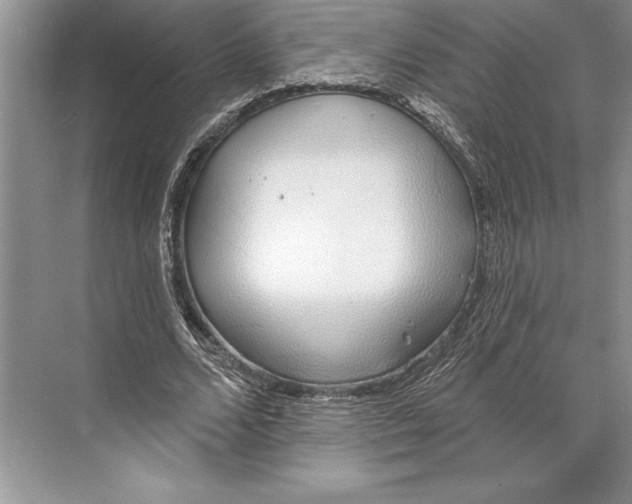 X0000074960680200609221757