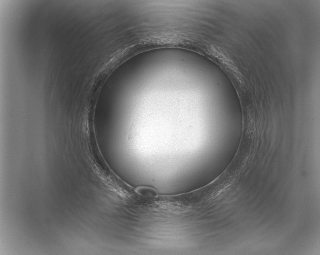 X0000074960681200609221757