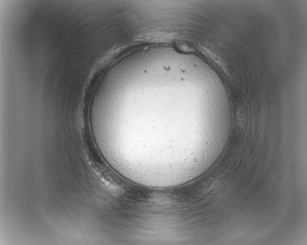 X0000074960682200609221757