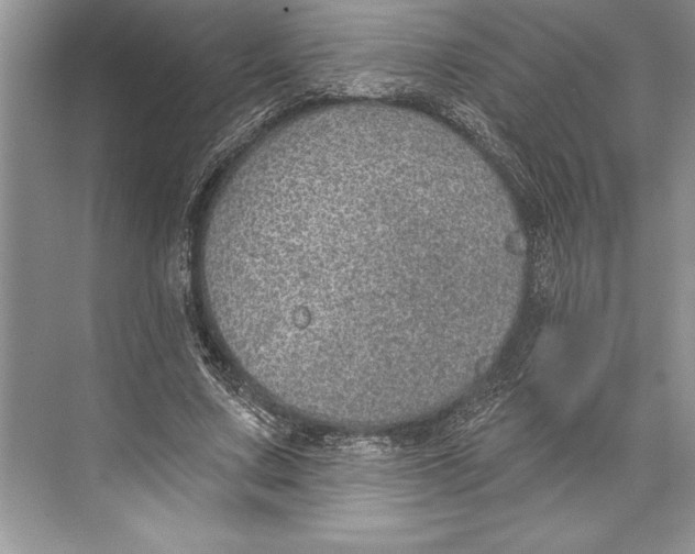 X0000074960683200609221757