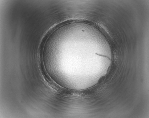 X0000074960684200609221757