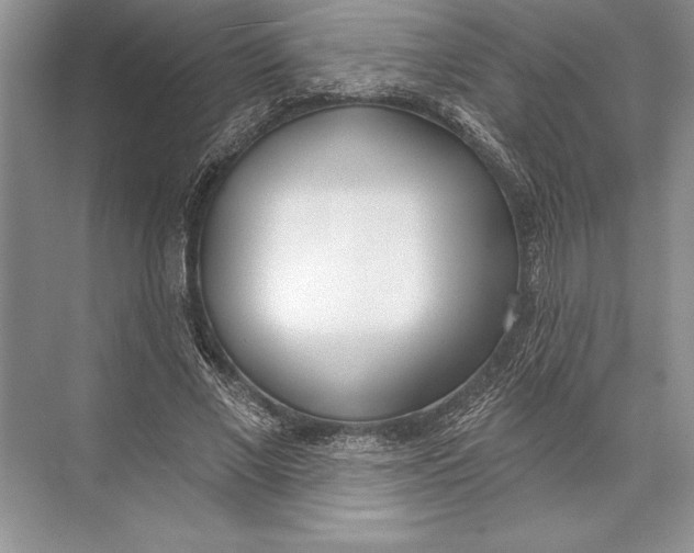 X0000074960685200609221757