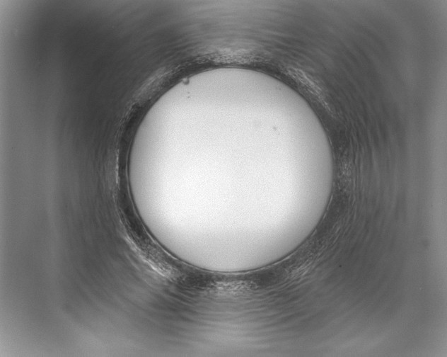 X0000074960686200609221757