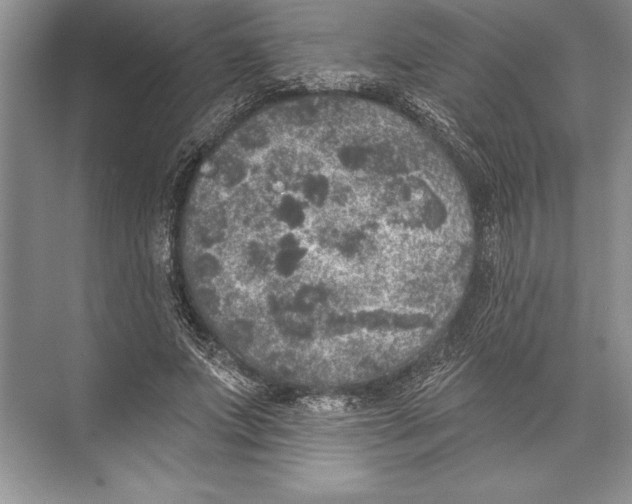 X0000074960687200609221757