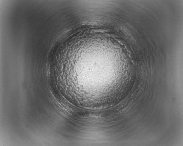 X0000074960692200609221757