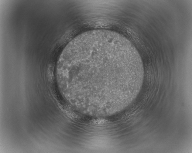 X0000074960695200609221757