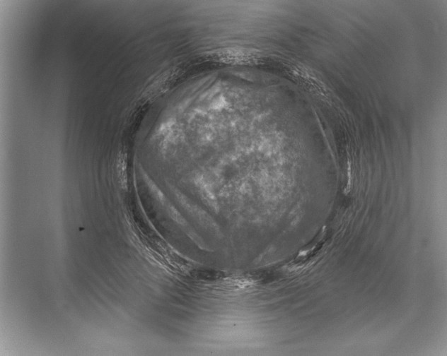 X0000074960696200609221757