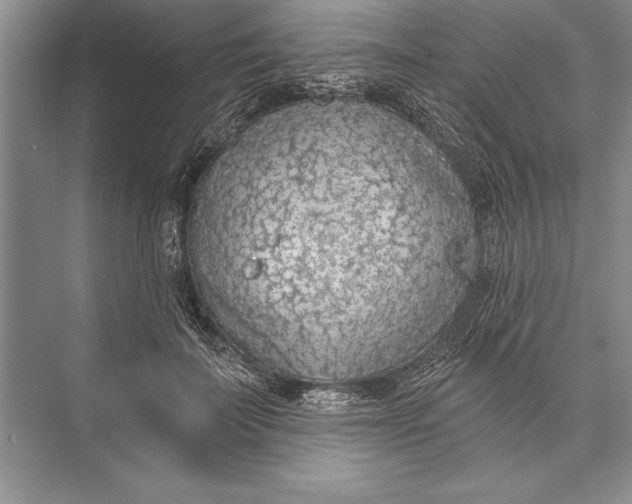 X0000074960699200609221757