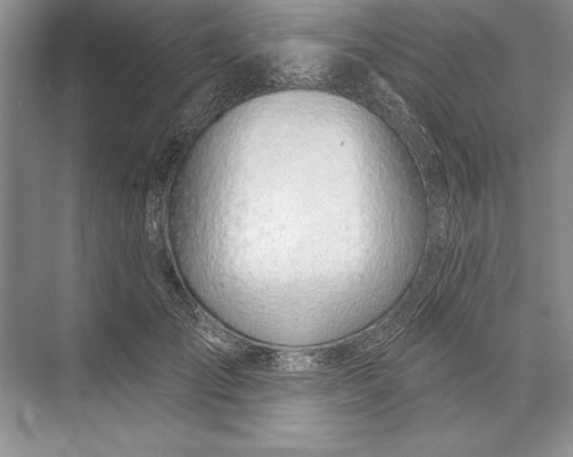 X0000074960701200609221757