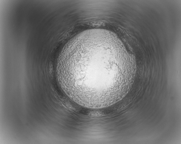 X0000074960704200609221757