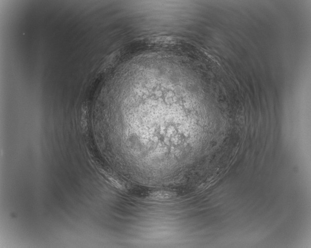 X0000074960708200609221757