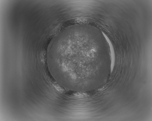 X0000074960712200609221757