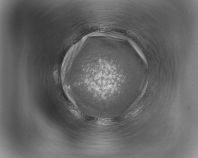 X0000074960720200609221757