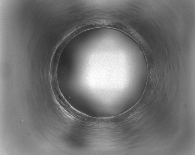 X0000074960722200609221756