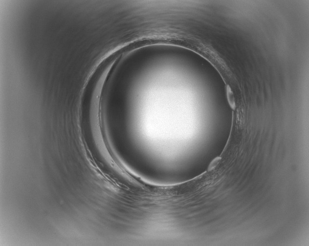 X0000074960724200609221756