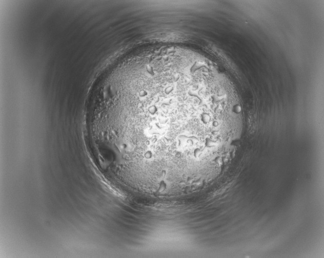 X0000074960725200609221756