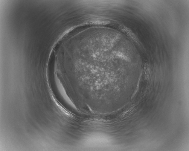 X0000074960726200609221756