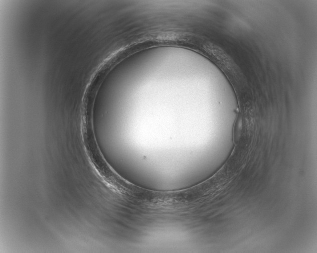 X0000074960728200609221756