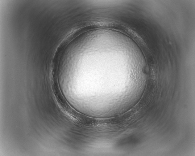 X0000074960730200609221756