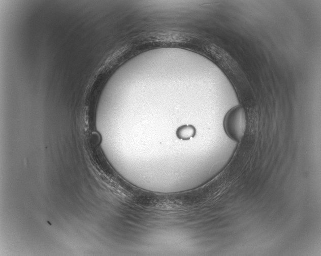 X0000074960731200609221756