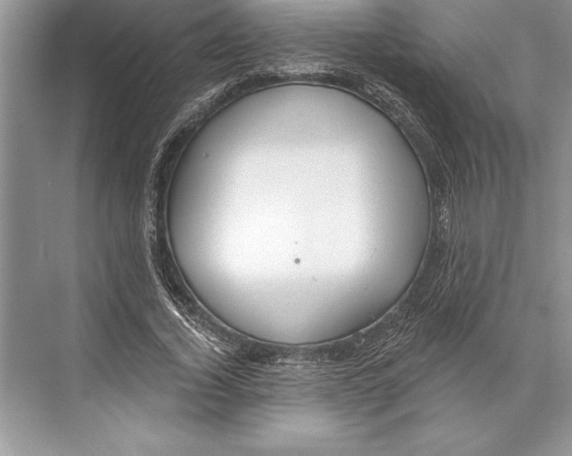 X0000074960732200609221756