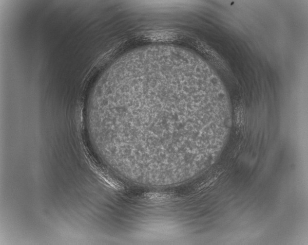 X0000074960733200609221756