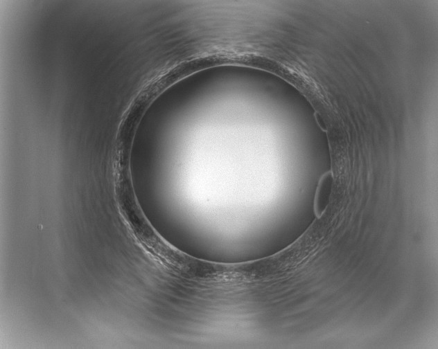 X0000074960736200609221756