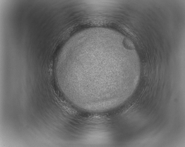 X0000074960737200609221756