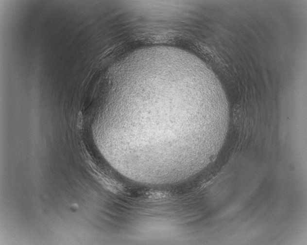 X0000074960741200609221756