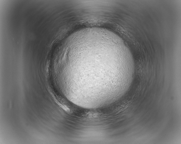 X0000074960742200609221756