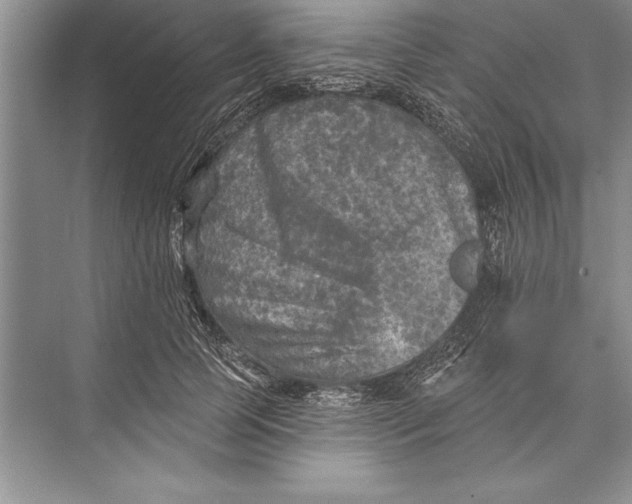 X0000074960745200609221756