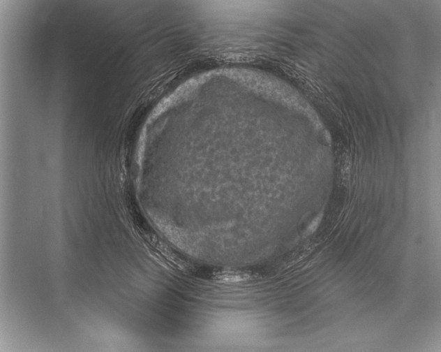 X0000074960746200609221756