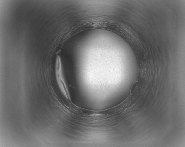 X0000074960748200609221756