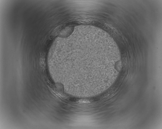 X0000074960749200609221756