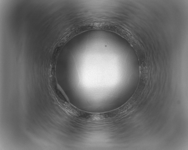 X0000074960750200609221756