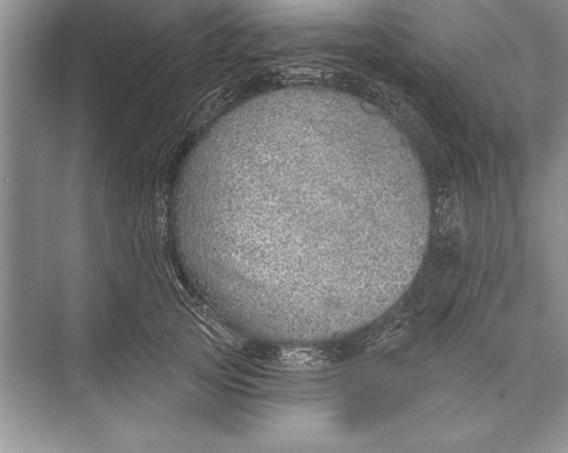 X0000074960753200609221756