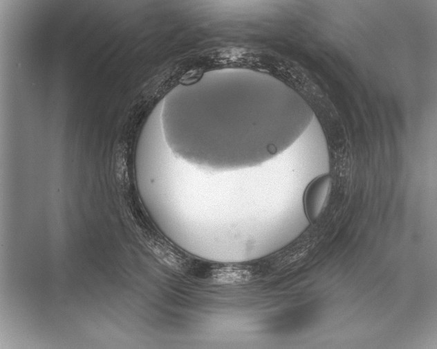 X0000074960754200609221756