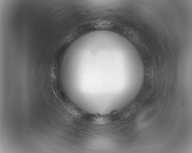 X0000074960755200609221757