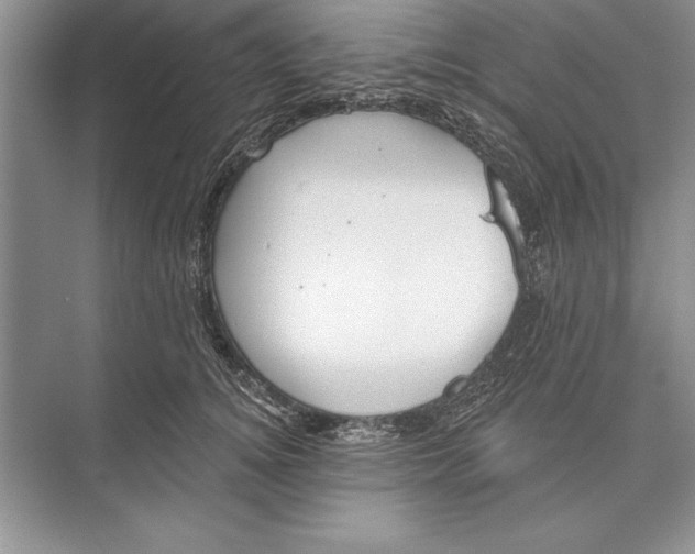 X0000074960756200609221757