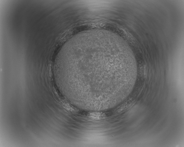 X0000074960757200609221757