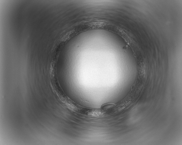 X0000074960759200609221757