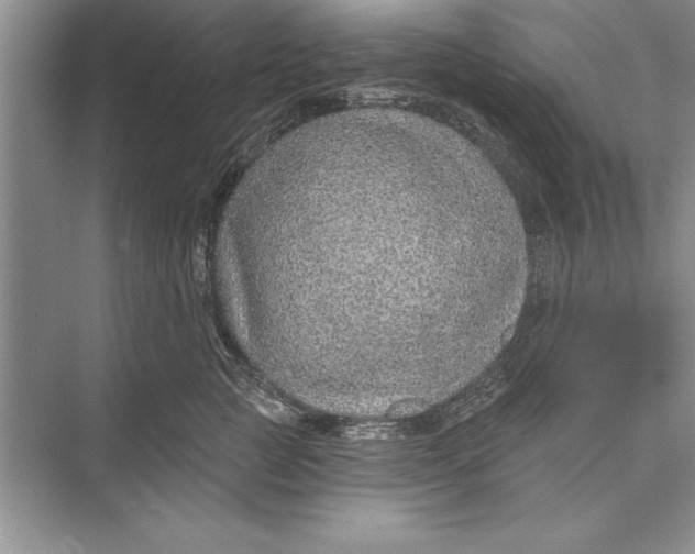 X0000074960761200609221757