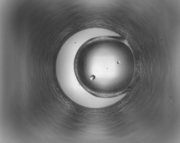 X0000074960762200609221757