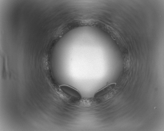 X0000074960764200609221757