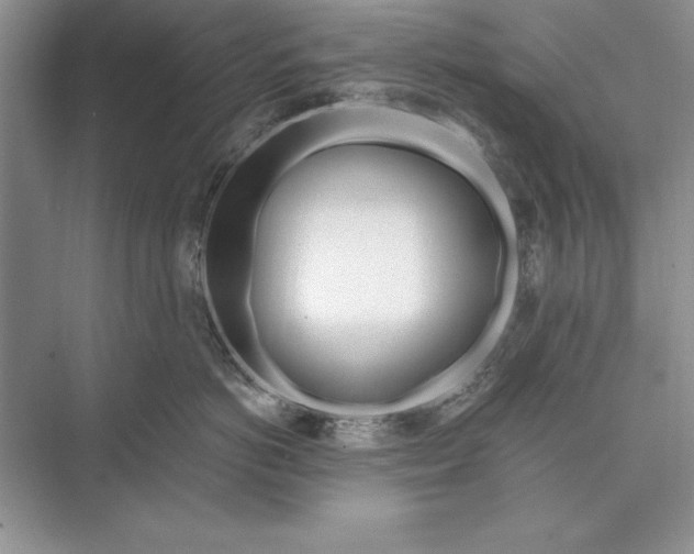 X0000074960766200609221757