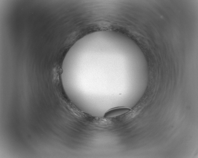 X0000074960768200609221757