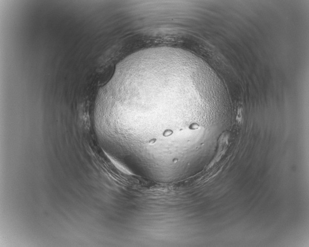 X0000074960771200609221756