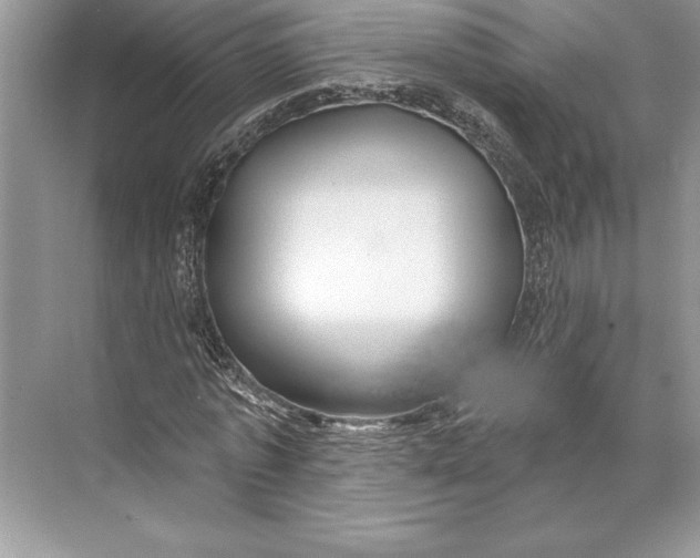 X0000074960773200609221756