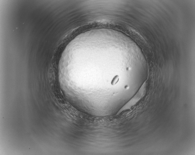 X0000074960776200609221756