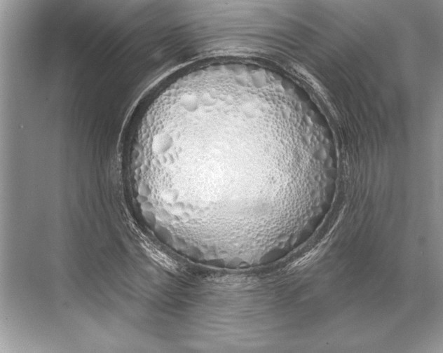 X0000074960779200609221756